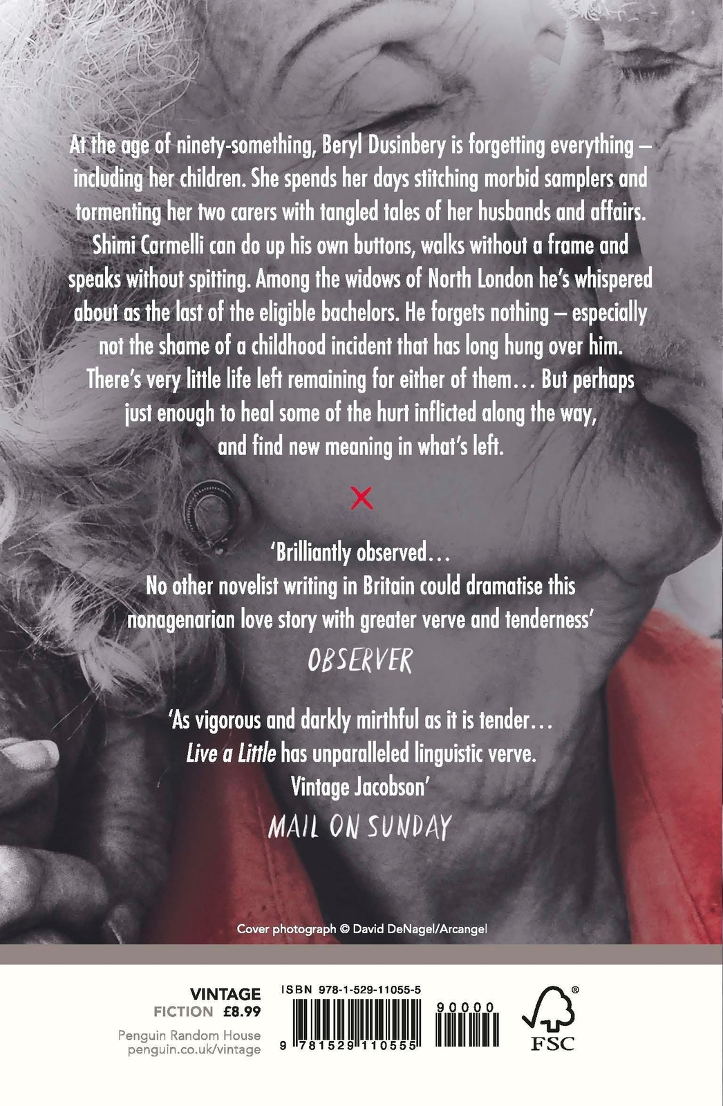 Thumbnail - Live A Little | Howard Jacobson | Taschenbuch | 288 S. | Englisch |