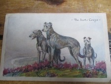 THE SCOTS GREYS Eileen Hood Artist Drawn Dog Postcard Postmarked Sleaford 1919