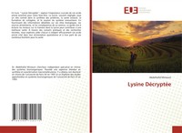 Lysine DéCryptéE Abdelhafid Mimouni Taschenbuch FranzöSisch 2024