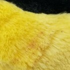 Bild 8 von 8