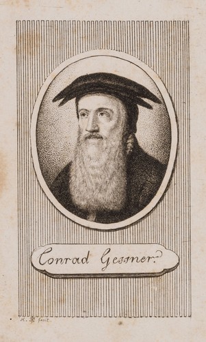 H. PFENNINGER (*1749), Portrait des Conrad Gessner, um 1800, KSt. Biedermeier