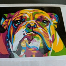 Bulldog Paint By Number paint set