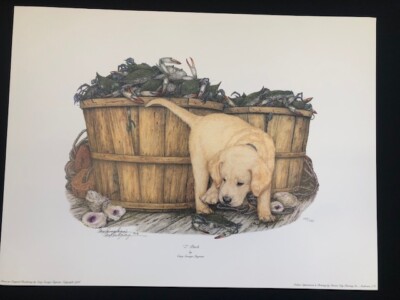 Cary Savage Ingram  -   Beautiful Limited  Edition   Yellow Lab    '' Z - Pinch ''