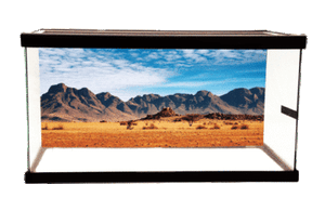 PetBackdrops-Non-Cling-Desert-Terrarium-Aquarium-Backdrops-Multiple-SIZES