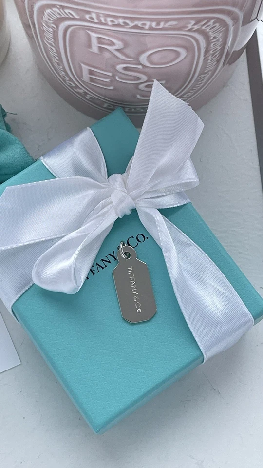 Dog tag Tiffany & Co. com diamante em prata esterlina NOVO - Imagem 4 de 4