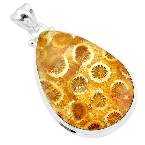 19.72cts Natural Yellow Fossil Coral 