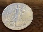 2014 Silver Eagle Nice! Free Shipping!! Bidding!!!
