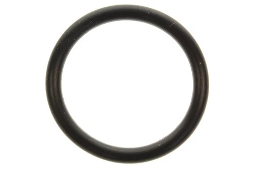 .O-RING (D:3.1,ID:24.4)