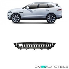Stoßstangen Gitter Blende vorne mitte unten für Jaguar F-Pace X761 Bj. ab 2016