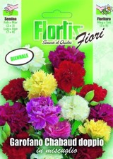 FLORTIS | Graines De Giroflée Chabaud Double Mix