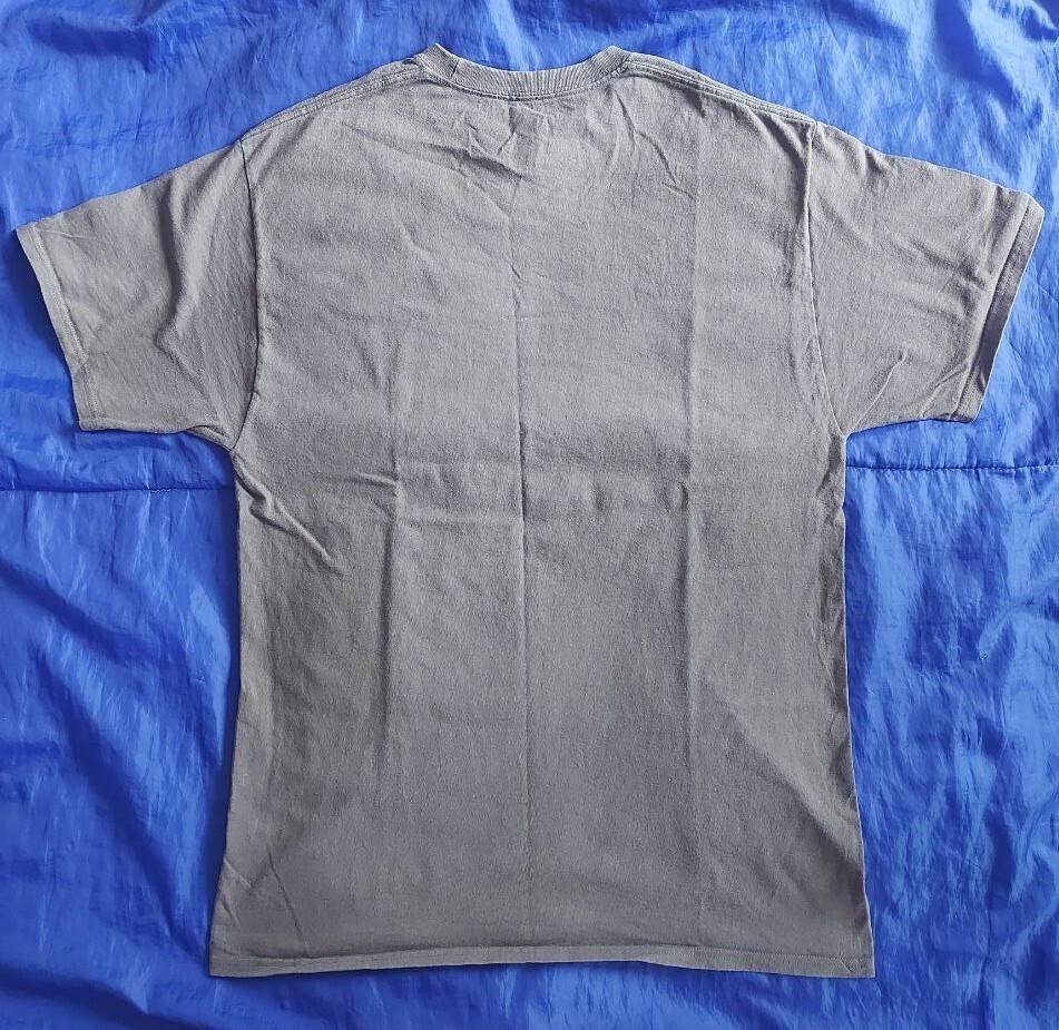 ALTRA T shirt Rick & Morty cotone grigio Hanes Tagless unisex top stampato L