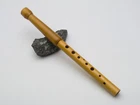 Vintage Original Rare Concert Chromatic SOPILKA Prima in C, Ukrainian USSR + Bag