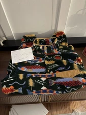 Patagonia Pullover Men’s Small Salmon Energy Synchilla Fleece Green 🐠 NWT 🎣