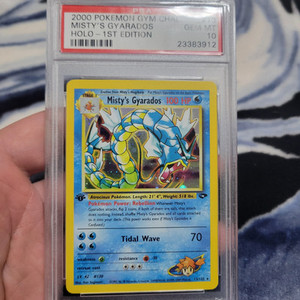 Gyarados 1st Edition Psa 10 | eBay Gyarados 1st Edition Psa 10 | eBay