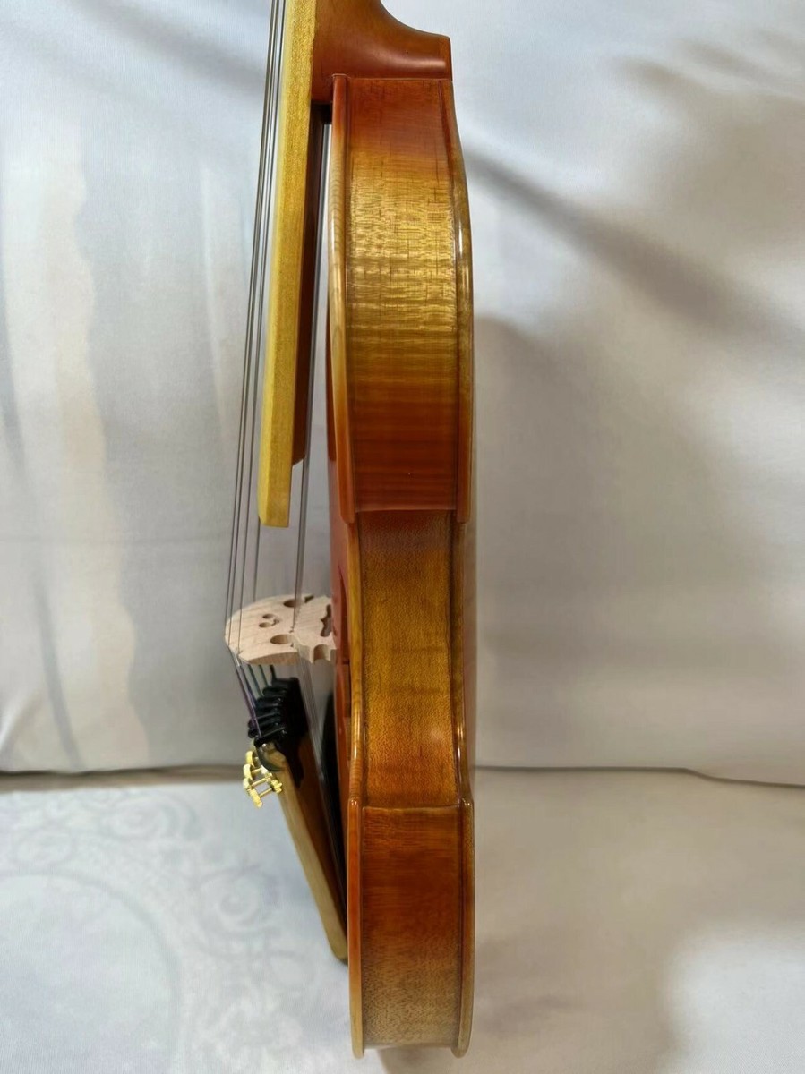 ビオラ・ダモーレ・マエストロ Baroque style song Master 7×7 strings 14