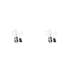 2x GH Stoßdämpfer hinten links rechts für Renault Clio III BR0/1 CR0/1