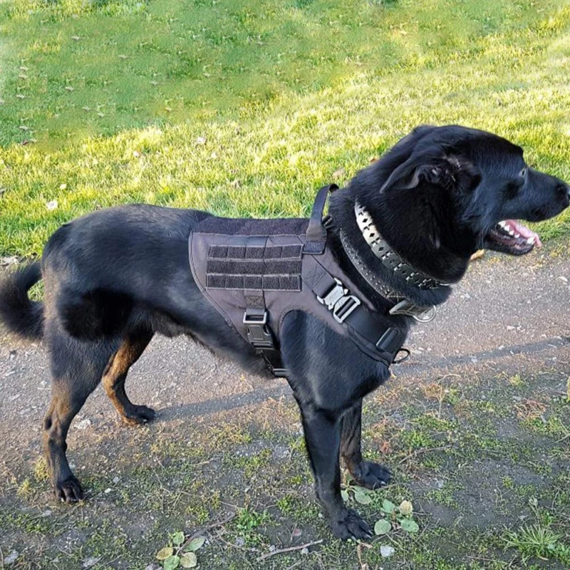 ICEFANG Tactical Dog Harness K9 Working Dog Vest No Pulling Front Clip Leash Att