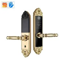 European Royal Smart Door Lock with Fingerprint Passcode Card for Indoor Home
