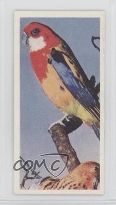 1959 Lyons Tea Australia Tea Rosella #15 0f3j