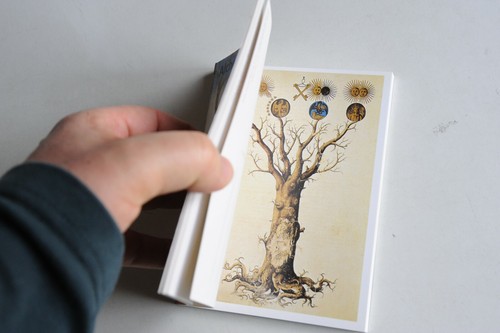 CARTOLINE DA COLLEZIONE - ALCHEMY & MYSTICISM - 30 POSTCARDS - TASCHEN EDITORE - Imagen 3 de 5
