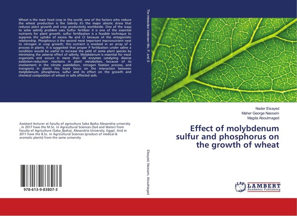 Nader Elsayed (U. A.) | Effect Of Molybdenum Sulfur And Phosphorus On The...-image
