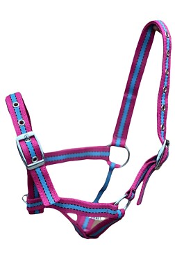 Equipride Fohlen Kopfband Multi verstellbar zwei 10 tolle Farben