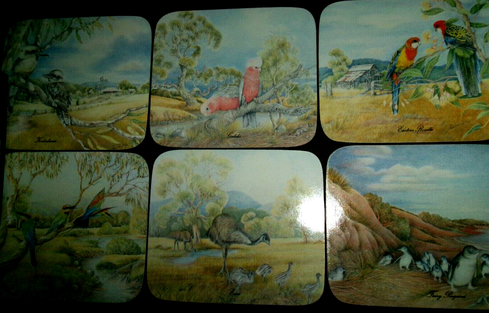 New in Box - Set of 6 cork backed Drink Coasters Australian Birds   Made In Aus