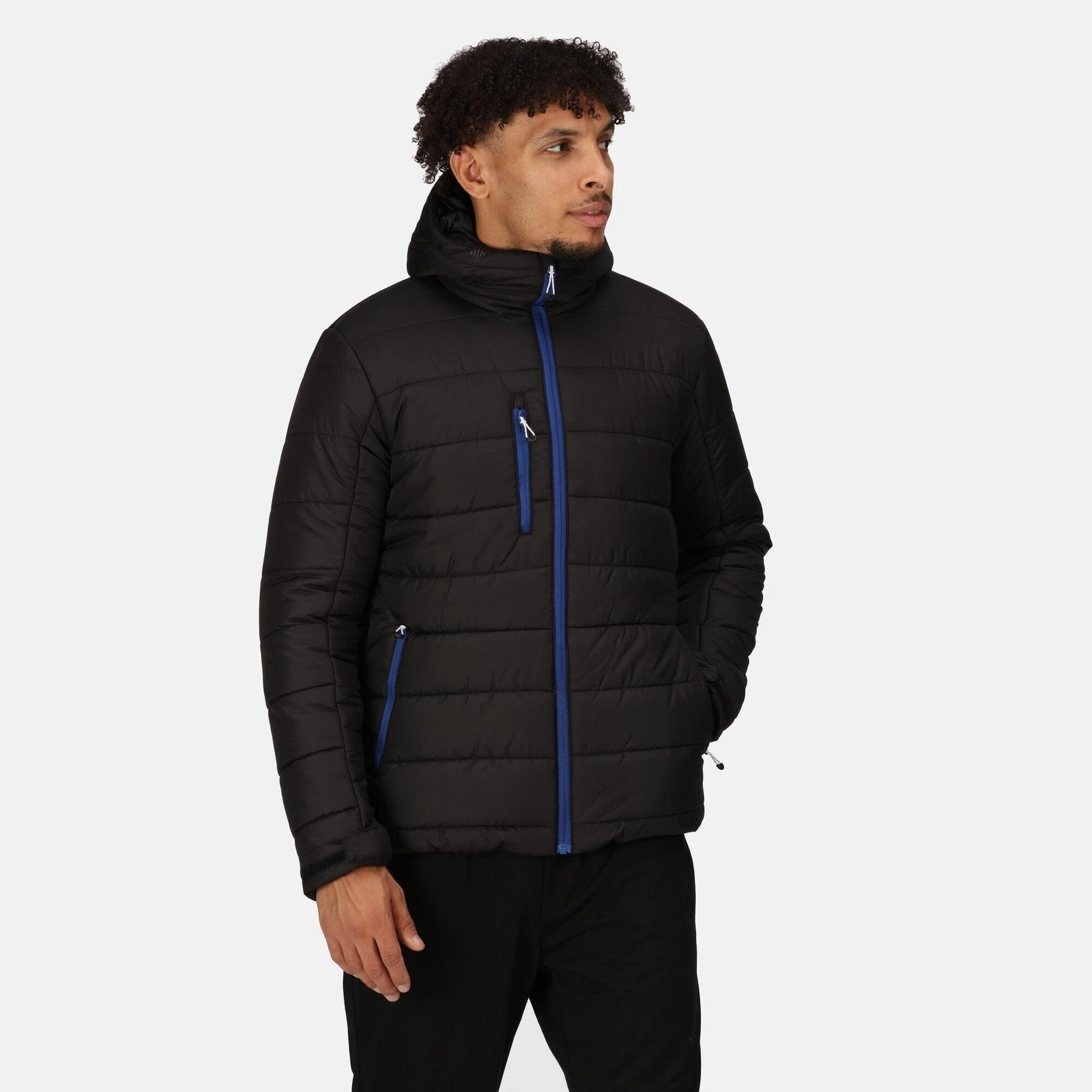 Regatta Navigate black/blue men's Ripstop thermal insulated jacket #TRA241