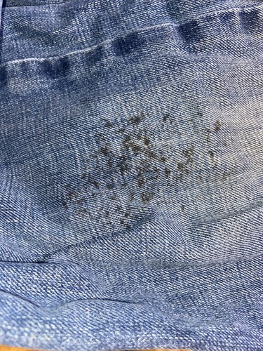 Ariat M4 Denim Jeans Men's 33x38 Blue Medium Wash Western Cowboy 2 Pair - Picture 8 of 9