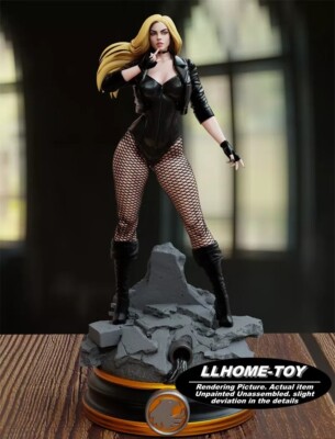 1/6 37CM Black Canary 3D Printing Garage Kit Figure Model Unpainted Unassemble