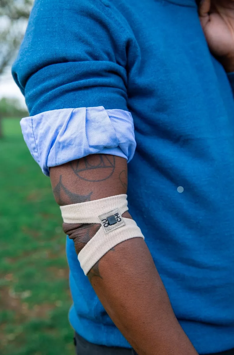 Hayfever bands 2024