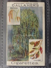 No.94 THE WEEPING BIRCH TREE Woodland Tree Series by Gallaher Ltd 1912