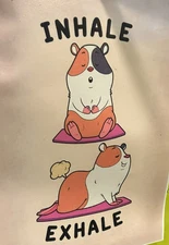 Canvas Print Guinea Pig Art 8 1/2 x 12 Inhale Exhale Fart Yoga Pose Namaste Mat