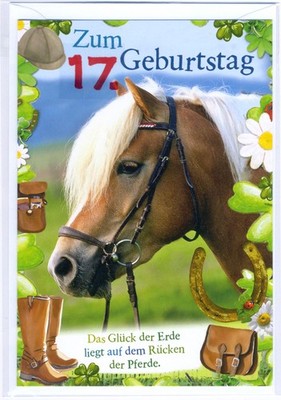 17. Geburtstag Glückwunschkarte mit Zahl 17 und Umschlag Pferd das Glück der Erd