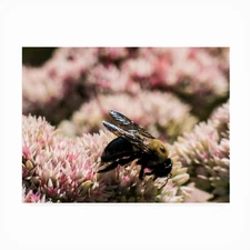 Outdoor Canvas Wall Art Good Fill Hunting  Leslie Montgomery Patio Garden Decor