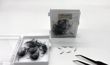 Alluring Loose 10D Premade 0.03mm C & D Curl 500 Lash Fans Eyelash Extension