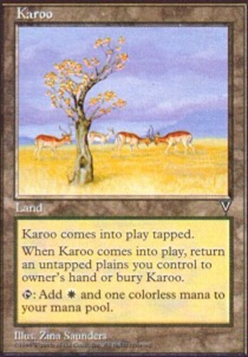 MTG magic cards 1x Karoo Visions Light Play, English