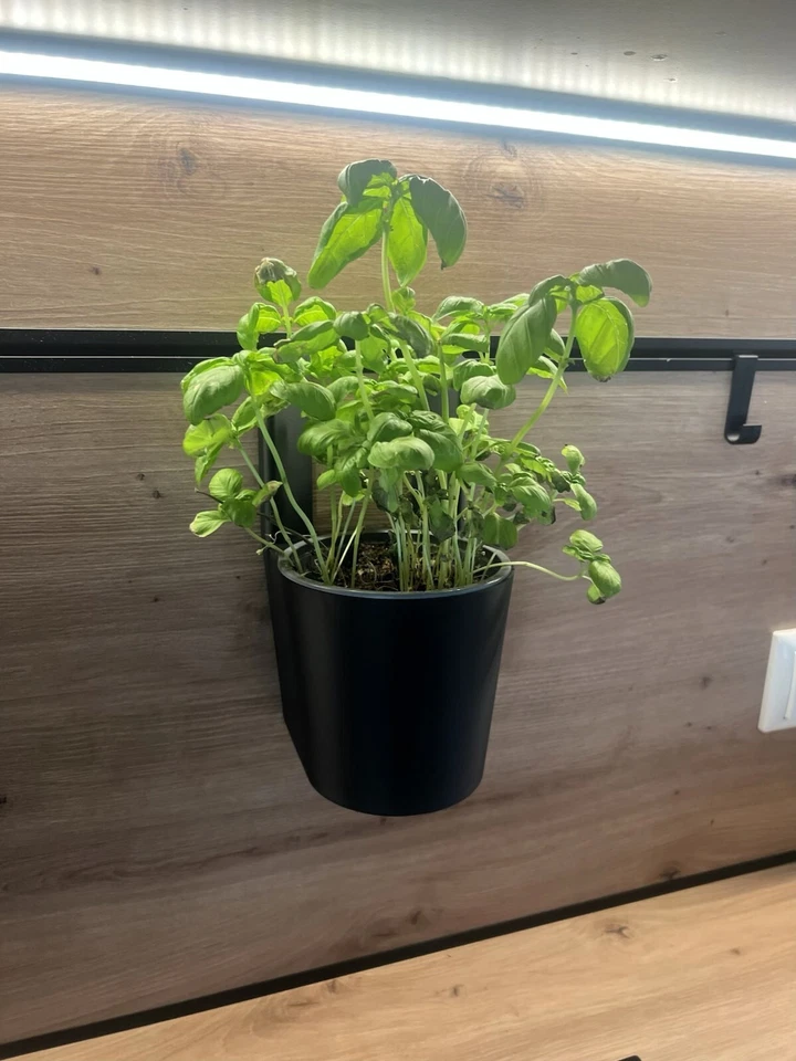 Kräutertopfhalter passend für Profilleiste Schüller Küchen | Schueller Kuechen