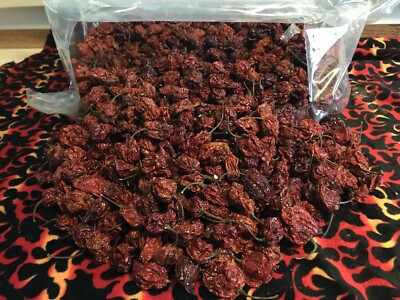 100  Reaper X  Dried Whole Pepper Pods World's Hottest Is Now 33% Hotter Fast !!