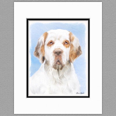 Clumber Spaniel Dog Original Art Print 8x10 Matted to 11x14