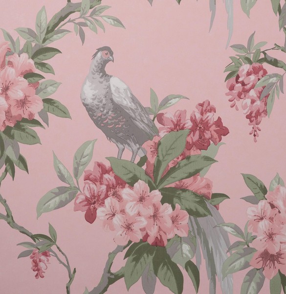 M1665_Crown Vogel, Floral, Muster Pink Grau SalbeigrüN Fine Decor Tapete-image