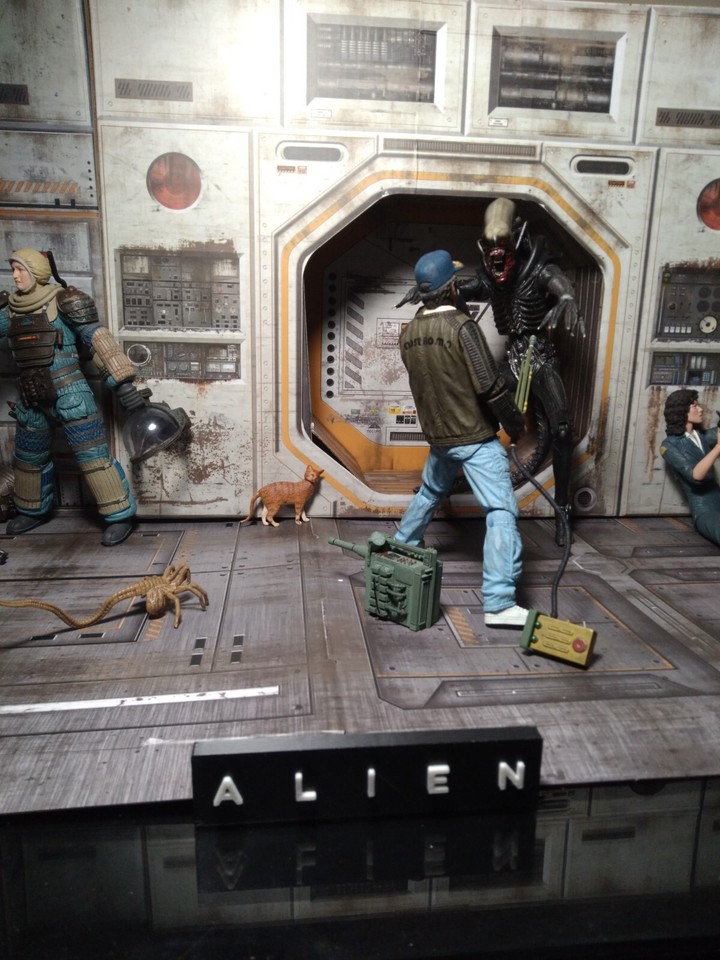 NECA CUSTOM* ALIEN 40th Anniversary HUGE DIORAMA DISPLAY LOT U.S.SELLER ...