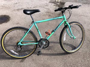 raleigh lizard mountain bike