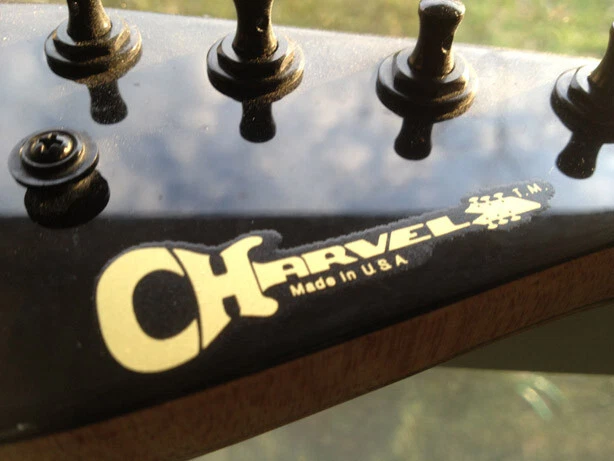 Calcomanía Charvel San Dimas tobogán acuático tipo serigrafiado NOS dorado metálico Foto 2 de 4