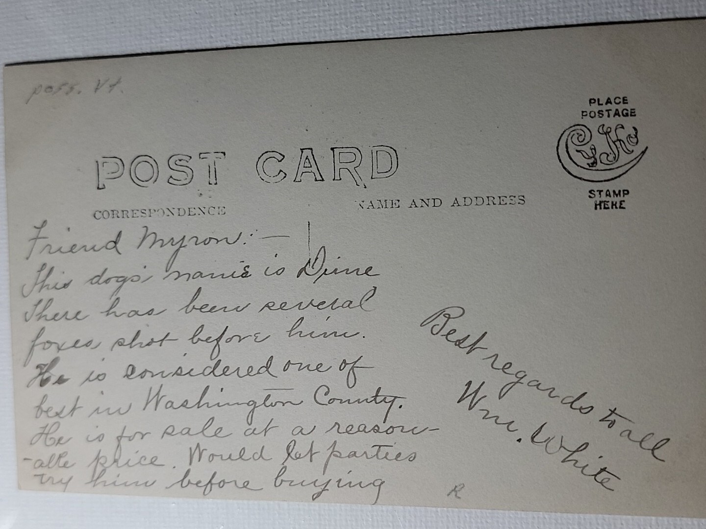 Man Hound Dog Postcard Washington County VT Used Note Dog For Sale eBay