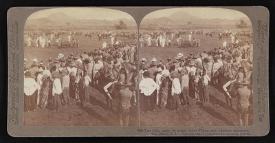 Two bulls ready for a fight,Filipino and American spectators, Jolo (Sulu) 1905