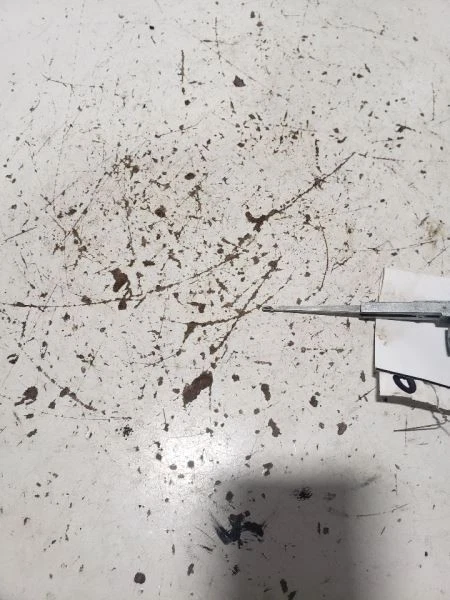 Interruptor de encendido de encendido convencional compatible con 03-20 4 RUNNER 1025987 Foto 2 de 4