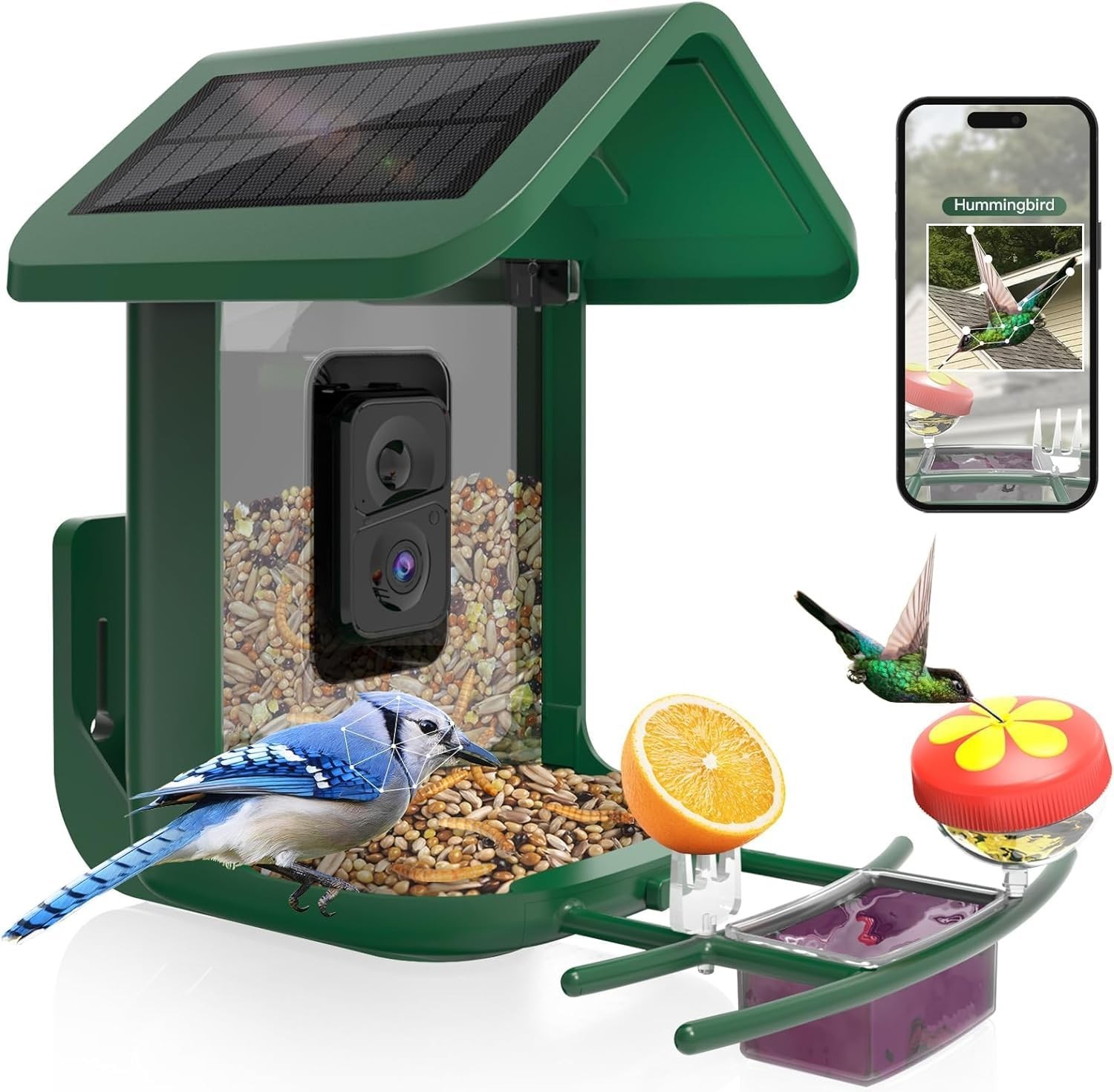 With Camera Solar Powered : Smart Camera Bird Feeder 2k Live