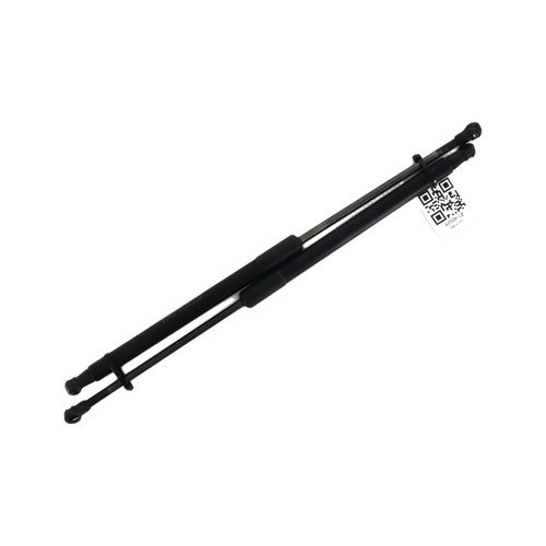 Paar Zylinder Kofferraum Heckklappe - BMW Serie 1 II PH.1 - Black - 51247239871