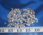 ~ Mother of Pearl (Mop) Shell Chips ~ Micro ~ Shellcraft ~ Sailor's Valentines ~